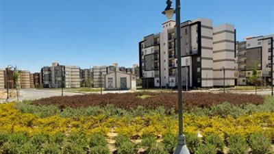 رئيس جهاز بدر يعلن بيان هام عن أحدث مشروعات الزراعة بالمدينة..صور