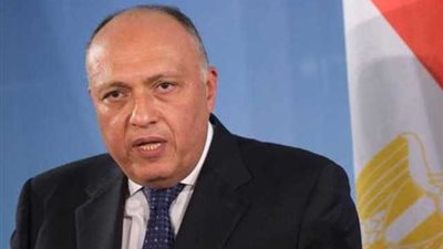 شكري:ضرورة وقف إطلاق النار بغزة والعمل على منع تصفية القضية الفلسطينية