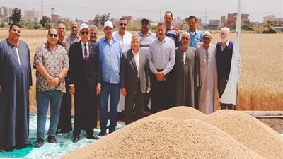 ضمن مبادرة ازرع .. الزراعة تنفذ يوم لحصاد القمح بدمنهور