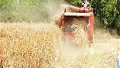رئيس مدينة شبراخيت تفقد شون حمدى لتوريد القمح