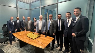 ضبط راكبة إفريقية بحوزتها 3 كيلو كوكايين بمطار القاهرة