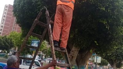 استعدادًا لإحتفالات الربيع ..تجميل المسطحات الخضراء بالإسماعيلية