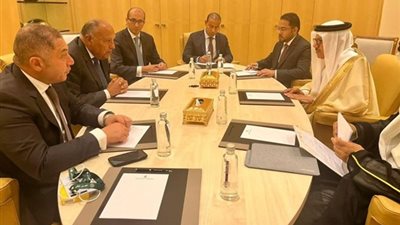رفض كامل لأي محاولات لتصفية القضية.. أو تهجير الأشقاء خارج أراضيه