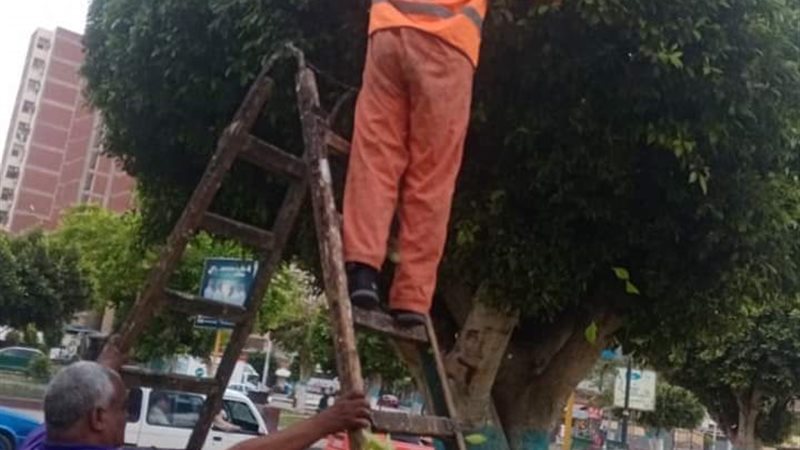بوابة الجمهورية