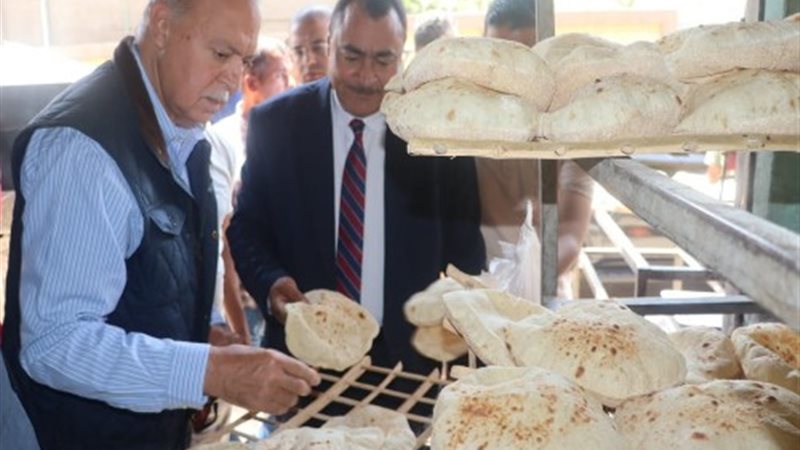 محافظ القليوبية يحرر
