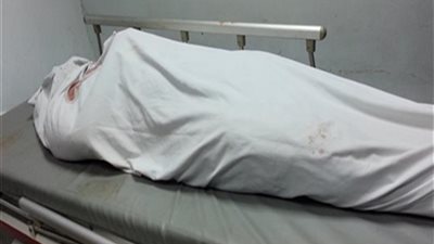 ضبط المتهمين بقتل عامل قاومهما أثناء سرقته في الدقهلية