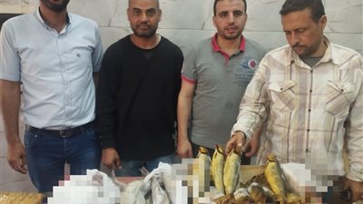 ضبط 140 كرتونة رنجة و33 كيلو فسيخ منتهية و 30 مخبز مخالف