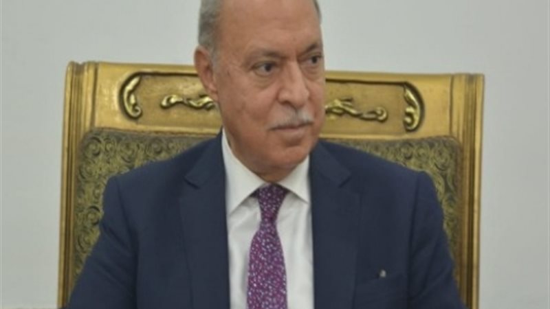 محافظ القليوبية: