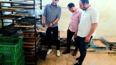 2000 لتر سولار وبنزين بمحطه غير مرخصه بالدلنجات