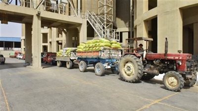 محافظ أسيوط: توريد 77946 طن للشون والصوامع من حصاد 127 ألف فدان قمح
