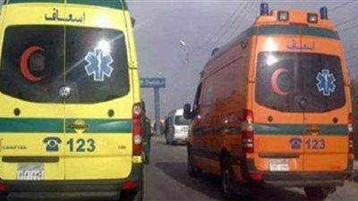 اصابه 4 اشخاص في تصادم علي طريق جمصه بالدقهلية .