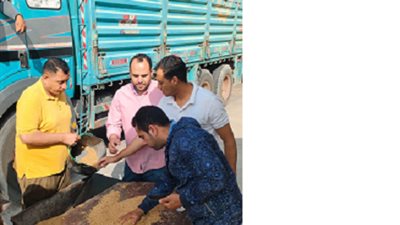 ختام اليوم ال25توريد147018طن قمح لشون وصوامع البحيرة