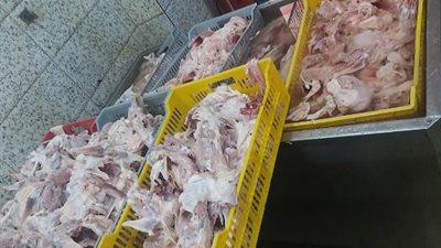 في حملات لضبط الأسواق.. تموين القليوبية تحرر 150 محضرًا لمنشآت مخالفة
