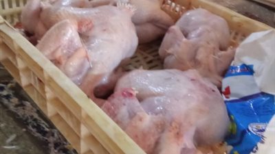تموين القليوبية تحرر ٩٣ محضرًا ومخالفة لعدد من المخابز والمتاجر