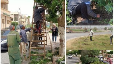 زراعة 110 أشجار مثمرة بمركز المنيا
