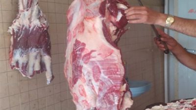 تحرير 165 محضر مخالفة متنوعة في حملات تموينية لضبط الأسواق بالقليوبية