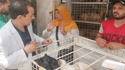 تموين القليوبية تحرر محضرًا ضد محل للطيور بمدينة طوخ