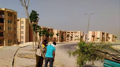 رئيس جهاز 15 مايو يعلن أهم أعمال الزراعة والتجميل فى المدينة.. صو