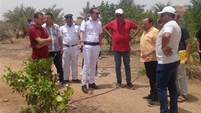 حمله مكبرة لازالة الاشغالات بالحوش الزراعية بالعاشر من رمضان صور
