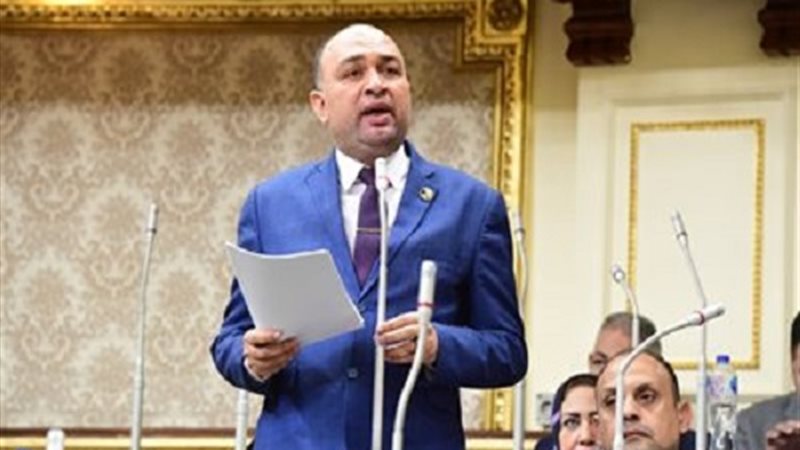 النائب أحمد أبو زيد