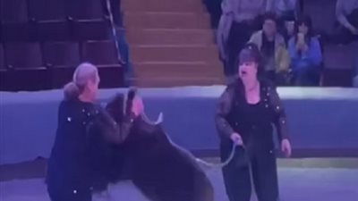 الحياة طبيعية..في أوكرانيا