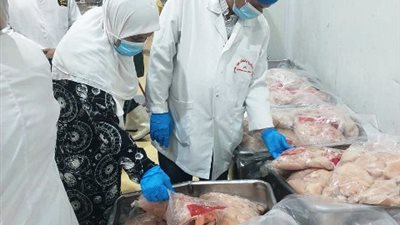ضبط دواجن ومواد غذائية منتهية الصلاحية بالشرقية