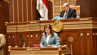 وزيرة التخطيط تستعرض مستهدفات الصحة والرياضة والزراعة والصناعة