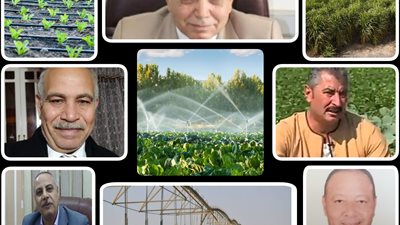 الجمهورية الجديدة.. بأساليب ري حديثة