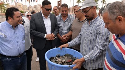 استلام مليون و250 الف زريعة من أسماك البلطي بالدقهلية