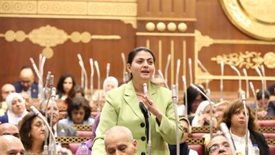 جوزيف عضو الشيوخ عن أسيوط تضع روشتة علاج للهجرة غير الشرعية....