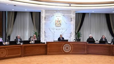 قرار مهم من الحكومة بشأن الفنادق العائمة في بحيرة ناصر