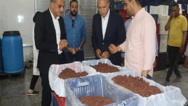 محافظ القليوبية عبد