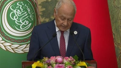 أبو الغيط: نواصل العمل من أجل حصول فلسطين على العضوية الكاملة بالأمم المتحدة