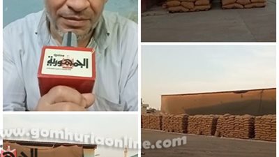 محطة غربلة المنوفية تبدأ في تجهيز تقاوي القمح للموسم المقبل