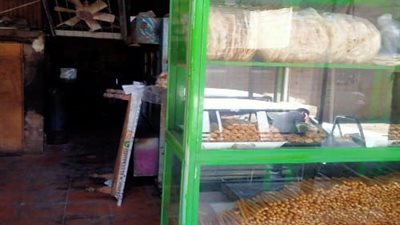 تموين القليوبية تحرر 174 محضرًا لمخابز بلدية وإفرنجية