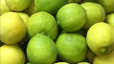 نصائح لحفظ الليمون طازج لفترات طويلة