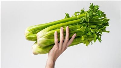 خبيرة تغذية :الكرفس يعزز قدرات الدماغ