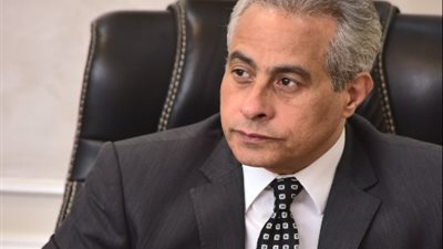 مصر تشاركُ في فعالياتِ مؤتمرِ العملِ الدوليِ بجنيف