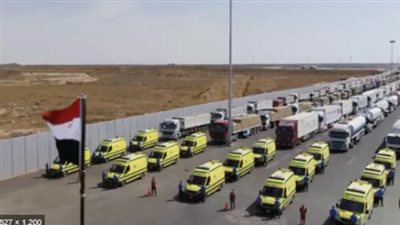 مصدر رفيع المستوى: الوفد المصري تمسك بضرورة إدخال ما لا يقل عن 350 شاحنة مساعدات لغزة يوميا