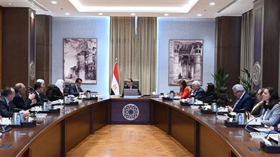 رئيس الوزراء يشيد بانخفاض معدلات النمو السكاني والمواليد