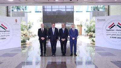 الاتصالات تستعرض المزايا التنافسية للقطاع بمنتدى الأعمال المصرى المجرى