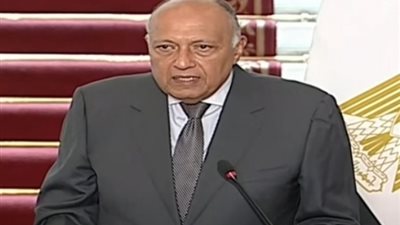 شكري: العمل مستمر بين مصر وقبرص لتعزيز العلاقات في جميع المجالات