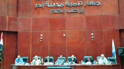 جهاز بدر يحقق أعلى الأسعار فى مزاد المحلات والصيدليات.. بالأرقام