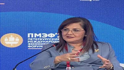 السعيد تكشف فرص الاستثمار في القطاعات الرئيسية لمصر وأعضاء البريكس