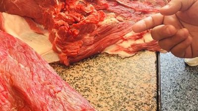 استعدادًا لعيد الأضحى ..ضبط ٢٦ كيلو لحوم وكبدة فاسدة بالإسماعيلية