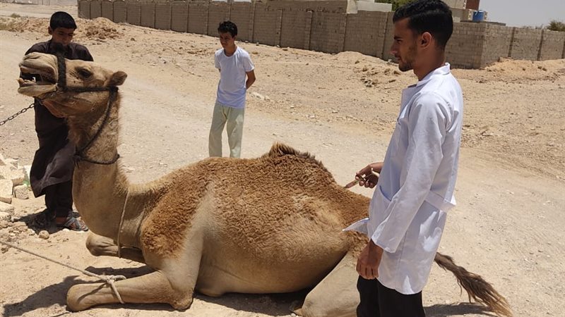 بوابة الجمهورية