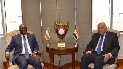 سامح شكري يستقبل وزير الخارجية والتعاون الدولي بغينيا الاستوائية