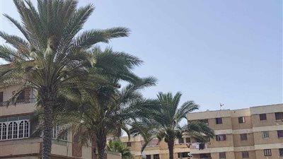 حدائق ومتنزهات دمياط الجديدة تستقبل روادها خلال عيد الأضحى