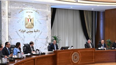 رئيس الوزراء يلتقي مسئولي كبرى الشركات الفرنسية العاملة في مصر