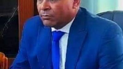 شون وصوامع المنيا تواصل استقبال القمح وتوريد 416 ألف طن